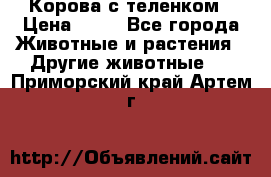 Корова с теленком › Цена ­ 69 - Все города Животные и растения » Другие животные   . Приморский край,Артем г.